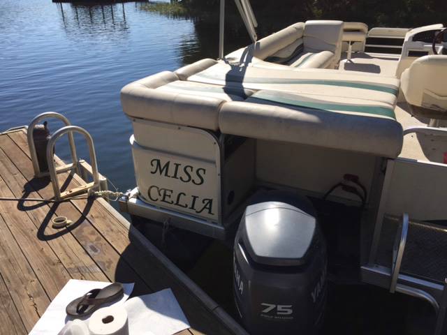Picture from CELIA B, NC