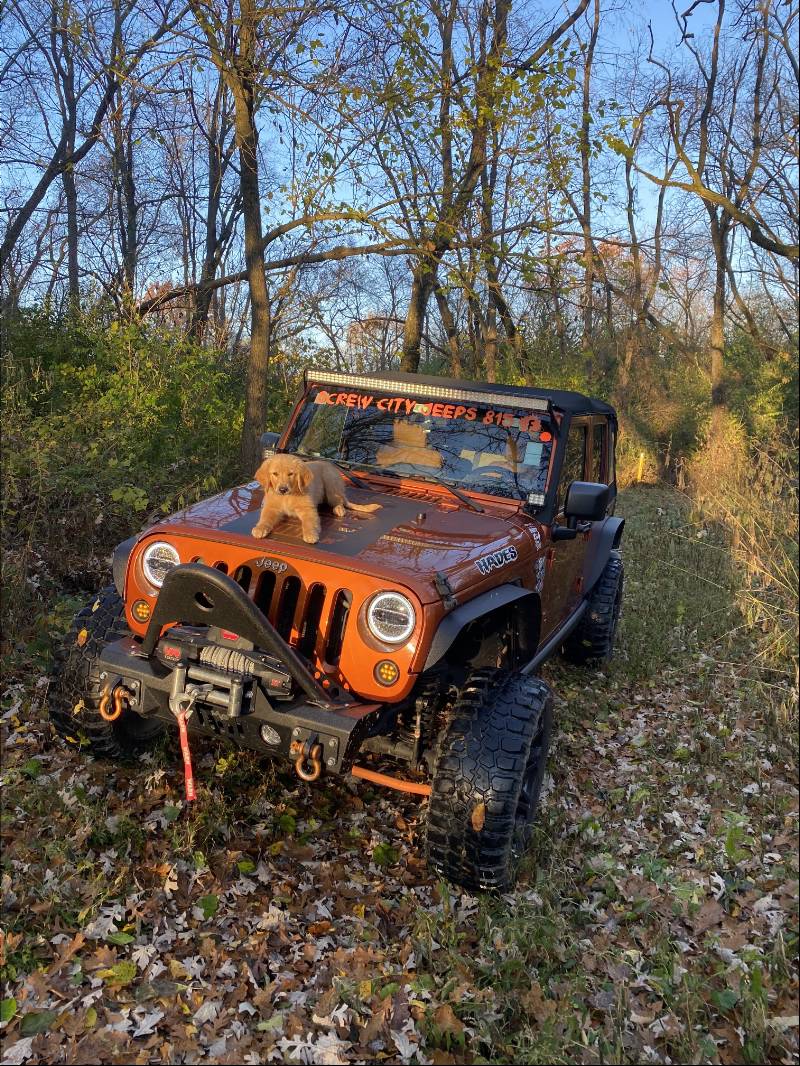 2010 Jeep Wrangler Unlimited Sahara Windshield and Side of Hood Lettering from Shawn E, IL