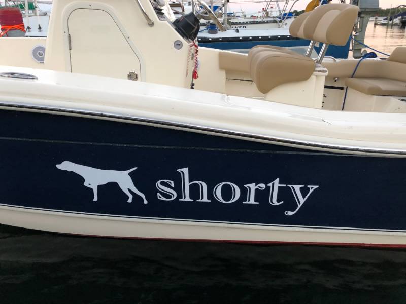 2020 scout 195sf and 2017 Pursuit dc325 Boat Lettering from David S, MI