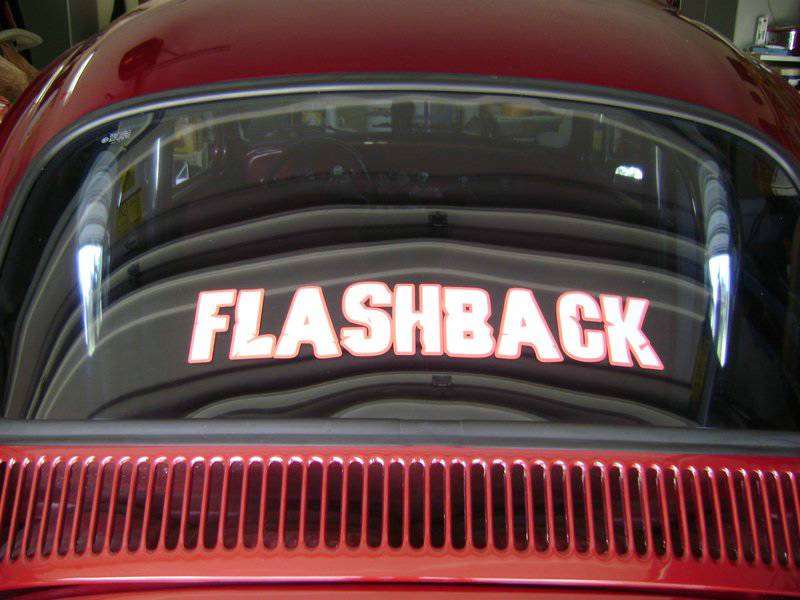 1969 Volkswagen Beetle Custom Car Lettering from Peter L D, TN