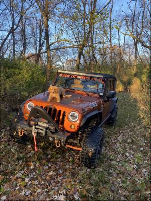 2010 Jeep Wrangler Unlimited Sahara Windshield and Side of Hood Lettering from Shawn E, IL
