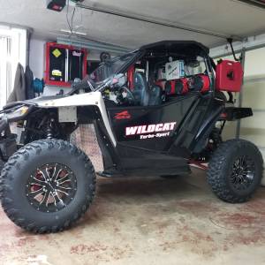 2015 Wildcat Sport Lettering from Michael M, PA