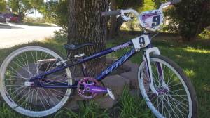 2017 TNT & 2004 Felt  Bike Frames - BMX Lettering from Tina H, CA