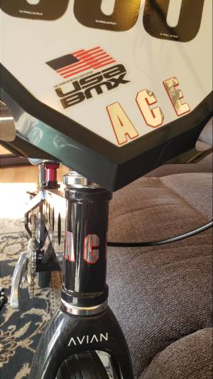 1994 ACE Holeshot Pro BMX frame Lettering from Jaime R, WI