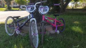 2017 TNT & 2004 Felt  Bike Frames - BMX Lettering from Tina H, CA