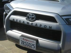 Picture from Ray D, CA