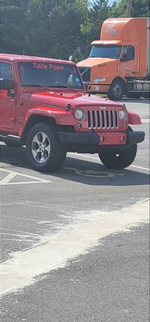 2018 Jeep Wrangler Sahara  Windshield  Lettering from Fredericka S, NC