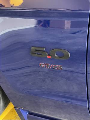 2014 Ford Mustang Automobile front fenders Lettering from Robert C, KS